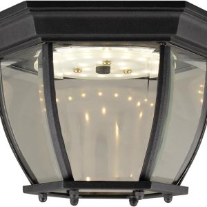 Integrated LED Outdoor/Indoor Ceiling Light with Clear Glass for Porch Entryway Patio, Black – , 578518